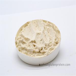 Physical Extraction Cas No 8002-80-0 Dried Wheat Gluten