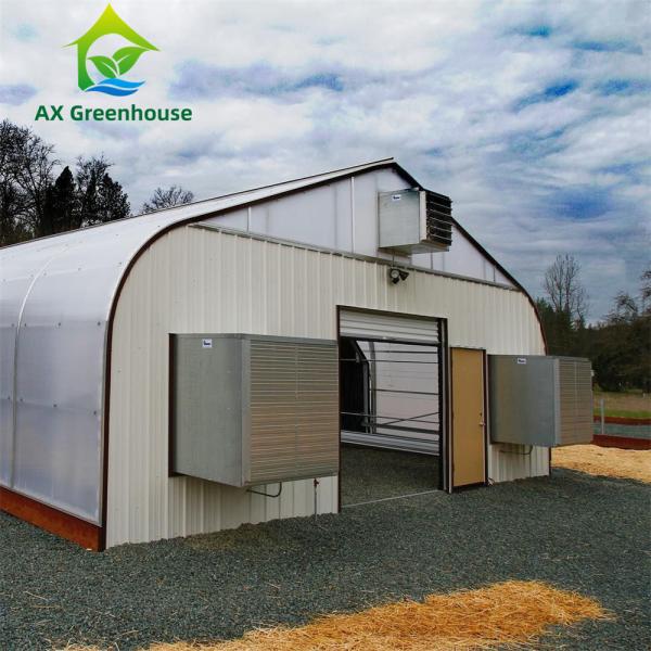 Large Tunnel Blackout Polyhouse Light Deprivation Agricultural Greenhouse