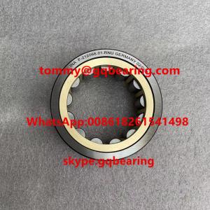 NTN RNUP1734PX1 Cylindrical Roller Bearing RNUP1734CS77 A4VSO500 Plunger Pump