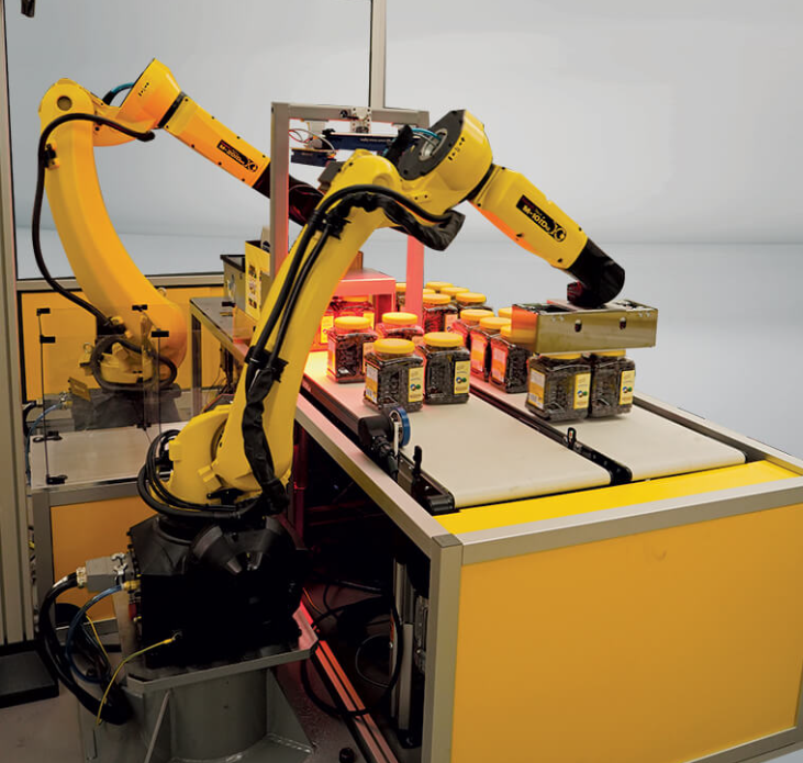 FANUC Industrial Payload 35kg Robotic Arm Machine Loading And Unloading
