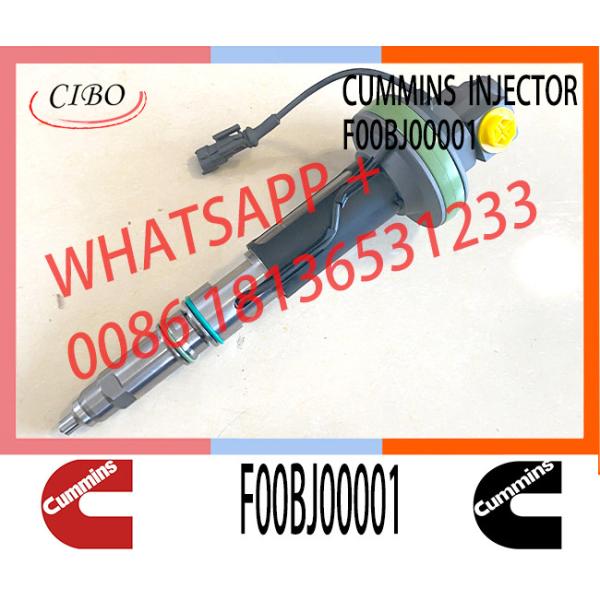 Cummins QSK Fuel Injector 2867147 F00BJ00001 injector 2867147 F00BJ00001