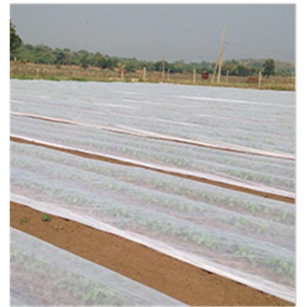 White Pp Spunbond Non Woven Fabric / Lightweight Biodegradable Non Woven Fabric