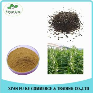 Black Sesame Seed Extract Powder Sesamin 98 %