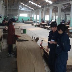 Black Cat'S Eye X009 engineered veneer Indoor Decorative Board 2050-3200mm