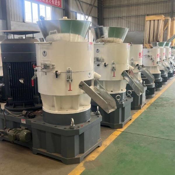 CE 10mm Small Wood Pellet Mill With Automatic Lubrication System