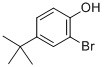 Quality 2-Bromo-4-tert-butylphenol [2198-66-5] for sale