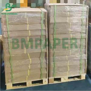 Large Size Translucent Tracking Plotter Paper Roll For Drawing 880 X 50m