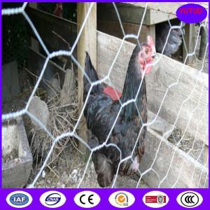 Quality Hexagon wire mesh for sale