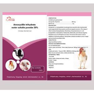 Quality Amoxycillin trihydrate water soluble powder 20% for sale