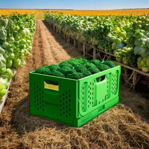 Virgin Plastic Collapsible Folding Vegetable Crate for Agriculture Fruits