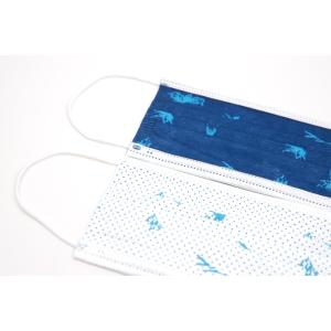 Dustproof FDA 510K 3 Ply Disposable Earloop Face Mask