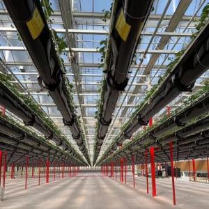 Building Materials Steel Structure Large Size Horticulture Greenhouse with Glass