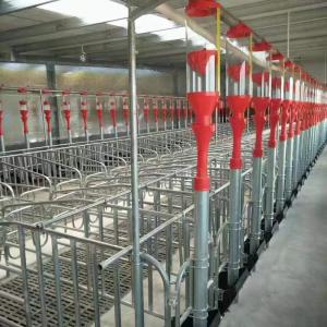 Pig Raising Piggery Farm Equipment With Steel Structure Building