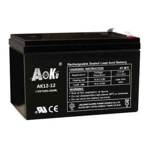 12V12ah  AGM  NP Series