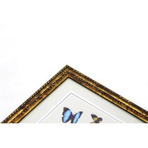 European Style Antique Gold Picture Frames , 15 X 10 Photo Frame ODM / OEM