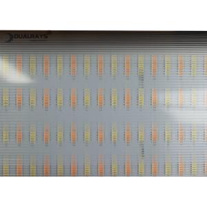 Dualrays D5 Series 50W 120°Beam Angle IP66 IK10 LED Tri Proof Light for