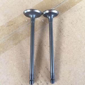 Car Auto Parts Diesel Engine Valve DB31 6DB 8D8 Truck Accessories