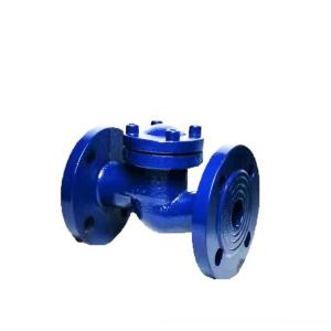 GGG25 Ductile Iron Lift Check Valve Flanged End