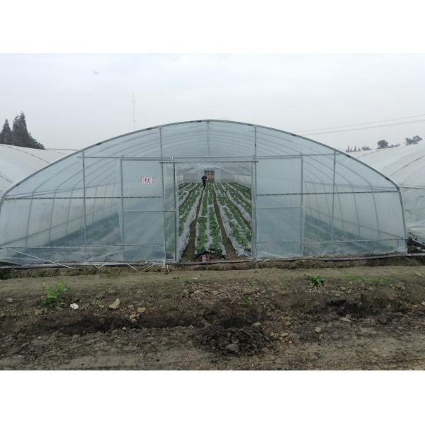 Single Span Plastic Tunnel Greenhouses Polyethylene Film Greenhouse For