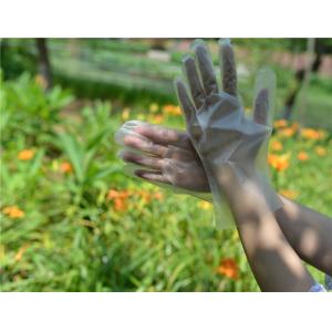 Ambidextrous Food Grade Disposable TPE Gloves