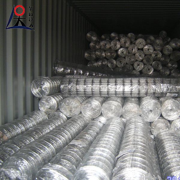 Electro Galvanized Welded Iron Wire Mesh And Hot Dipped Welded Wire Mesh