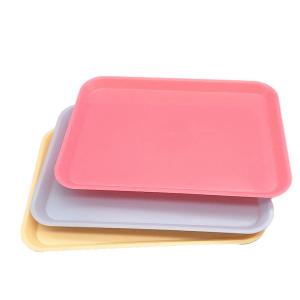 Autoclavable Dental Plastic Flat Trays Instrument Tools Tray 340x240mm High