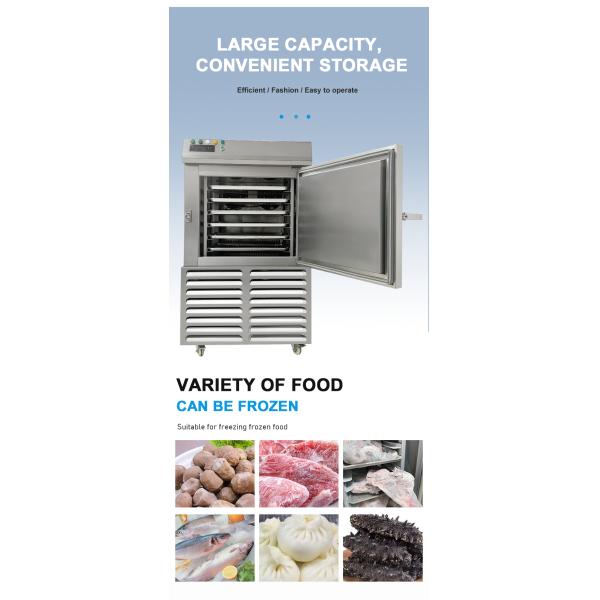Vegetables Fruit Shrimp Tunnel Quick Freezer Quick Frozen Iqf Tunnel Blast Freezer -80C to 0C Temperature Control 220V