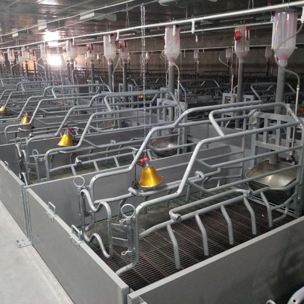 2.5 - 30 Tons Silo Piggery Farm Equipment Swine Breeding Equipment ISO9001