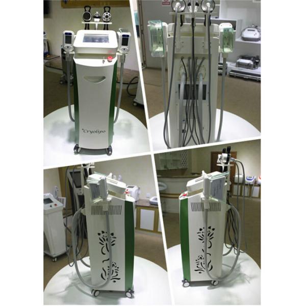 New style 5 handles multifunctional 3 in 1 cryolipolysis slimming machie
