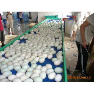 Food Grade Conveyor Belt / Mini Belt Conveyor/Manual Conveyer Belt Conveyor for