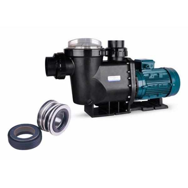 High Pressure Swimming Pool Water Pump Self Priming Type For Hot Water