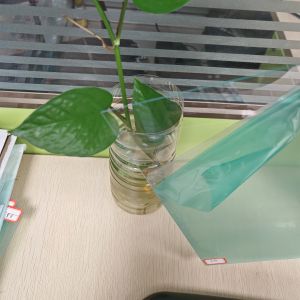 Cheap Price Plastic Polycarbonate Sheet with Exceptional Impact Resistance and