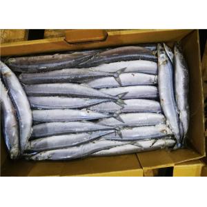 Cololabis Saira High Protein #1 Frozen Pacific Saury