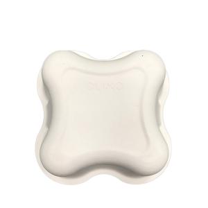 Custom Box Tray Packaging , Wet / Dry Press Molded Pulp Packaging