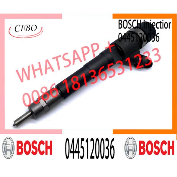 Diesel Engine Fuel Pump Injector Assemblies 0445120036 0986435507 504086469 Common Rail Injector 0445120036
