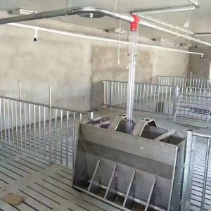 Disc Chain Conveying Swine Farm Equipment Pig House