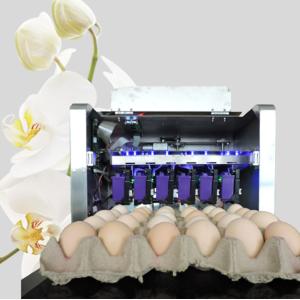 50 / 60 HZ Egg Inkjet Printer / Egg Marking Equipment With Touch Screen