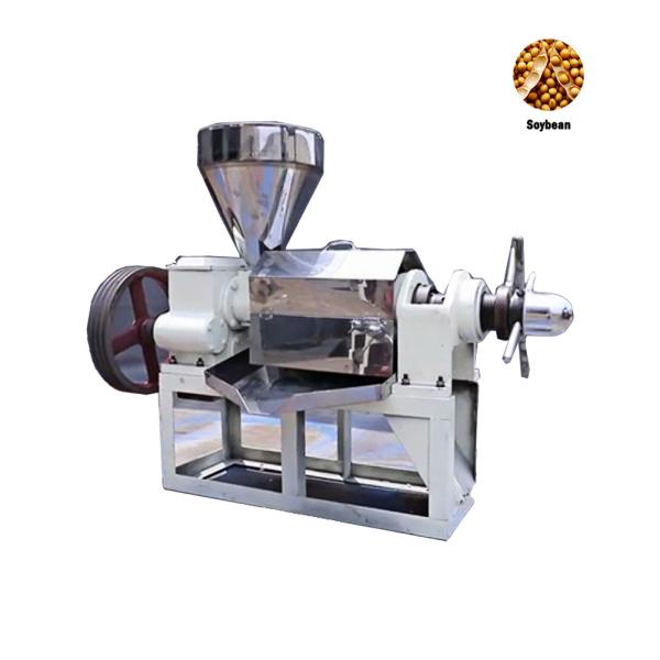 Buy Cold Press Oil Extraction Machine Stainless Steel Material Eco Friendly at wholesale prices