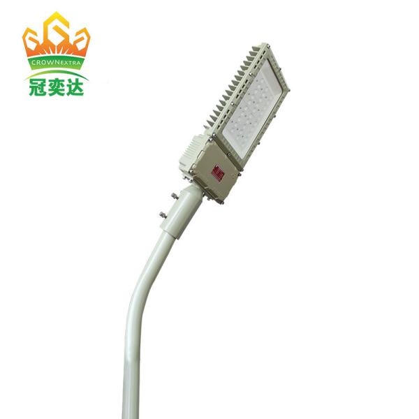 High efficiency 130lm/w IP66 and WF2 protection level anti-proof Flood light with street light mounting