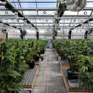 100% Shading Automatic Blackout Greenhouse Light Deprivation System With