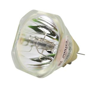 215Watt 54X54mm Epson Projector Bulbs ELPLP90 for Business