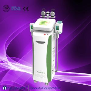 Quality Hottest Fat Freezing Cryolipolysis vacuum cavitation machine with Bottom Price for sale