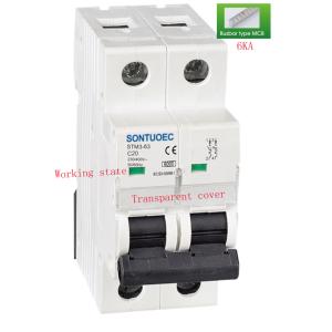 63A 2P Din Rail 6ka MCB Circuit Breaker With Busbar