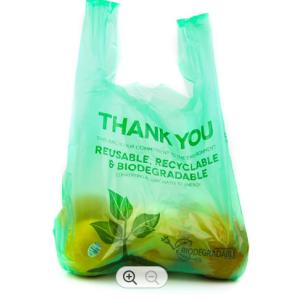 Custom 100 Biodegradable Plastic Bags Recyclable Plastic Take Away Bags