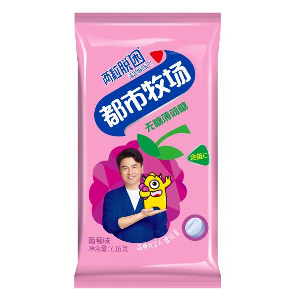 Buy Grape Fruit Sugar Free Mint Candy Diabetic Friendly Snack at wholesale prices