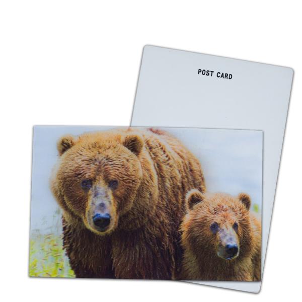 Buy Brown Bear In Alaska Lenticular Card Souvenir Gift Card For Tourist 3d Postcards at wholesale prices