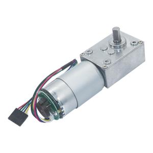 Encoder 30W DC Worm Geared Motor High Torque 12V Motors Self Locking