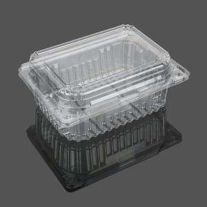 Transparent Big Clamshell Disposable Plastic Food Box