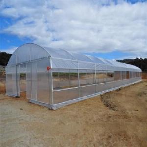 150mic PE Film Tunnel Plastic Greenhouse With Galvanized Steel Frame
