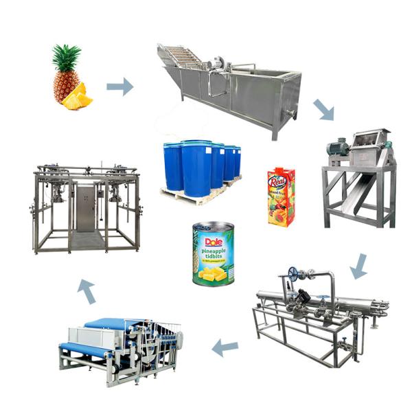 Complete Pineapple Processing Line Concentrated NFC Pineapple Juice Processing